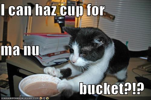 I can haz cup for ma nu bucket?!?
